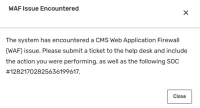 WAF Issue Encountered.jpg